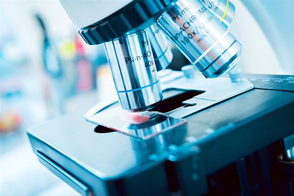 九游会J9入口:隐秘教育140恩爱久等了秋蝉